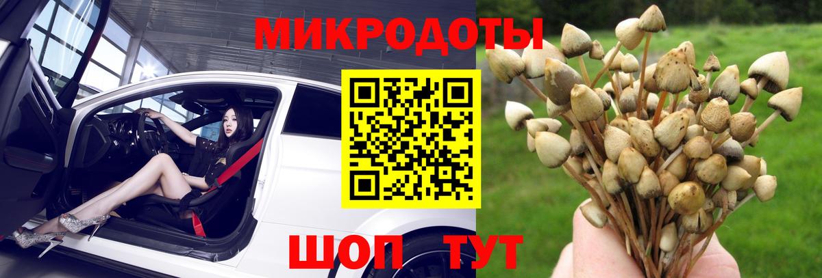 Псилоцибиновые грибы Cubensis  Вход с VPN  Лыткарино 